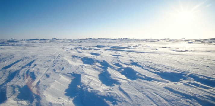 Artide - Il Polo Nord Geografico situato a 90 gradi di Latitudine nord 2